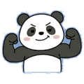 853497043