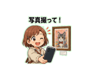 853498062
