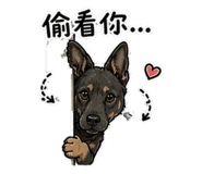 853499233