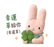 853499926