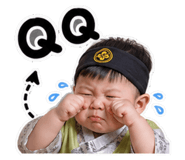 853500528