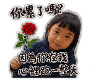 853500614
