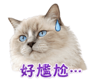 853501122