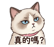 853501125