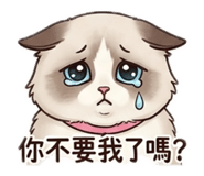 853501136