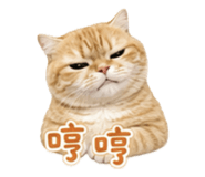 853501142