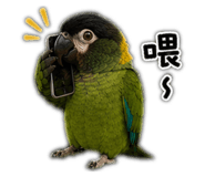 853501321