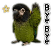 853501335