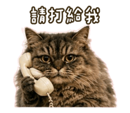 853501422