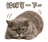 853501428
