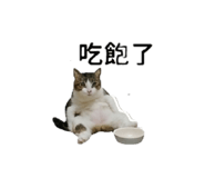853501690