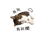 853501692