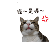 853501697