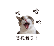 853501698