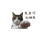 853501700