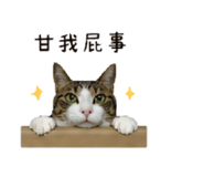 853501701