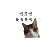 853501703