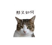 853501704