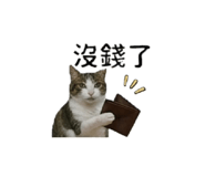 853501710