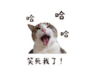 853501711