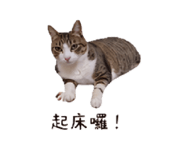853501713
