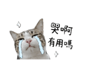 853501717