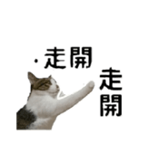 853501718