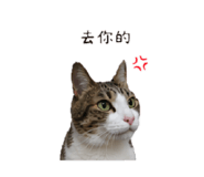 853501719