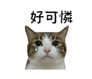 853501720