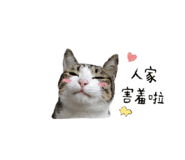 853501724