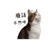 853501725
