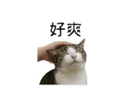 853501728