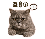 853501770