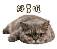853501776