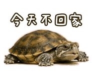853501799