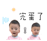 853502446