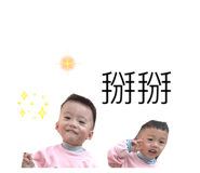 853502448