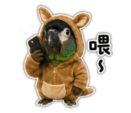 853503585