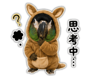 853503597