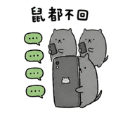 853503602