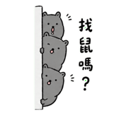 853503629