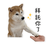 853503971