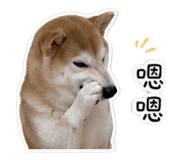 853503972