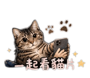 853505064