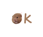 853505702