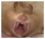 853505705