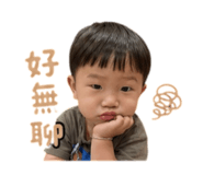 853506061