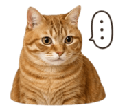 853506894