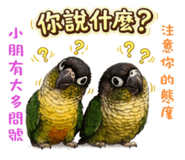 853507343