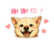 853507421